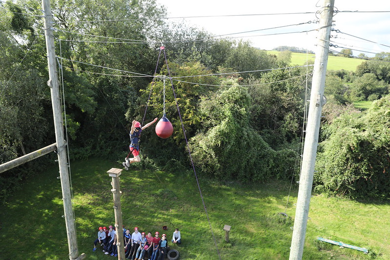 50319033926_f261dec4f8_c