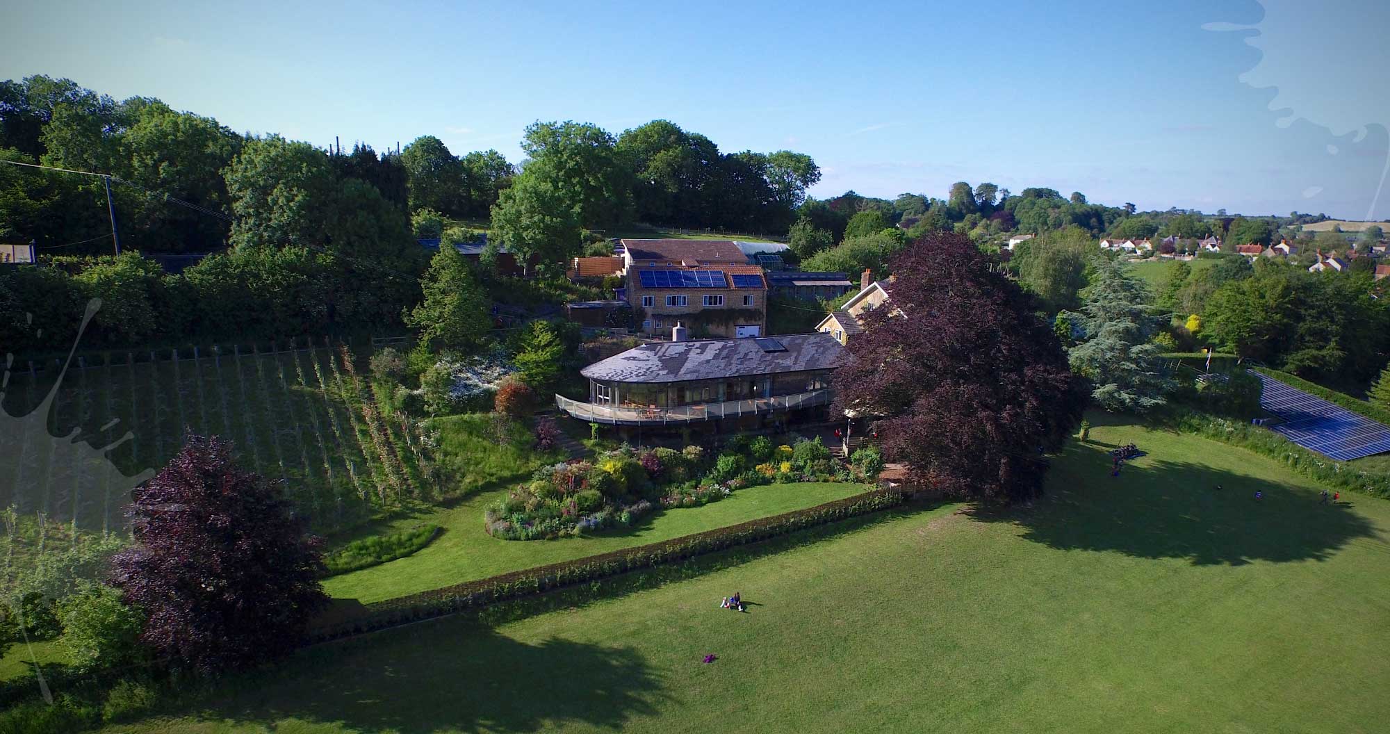 We've Always Been Green