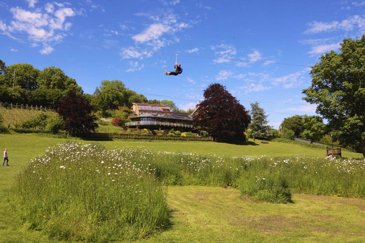 Zip-wire-with-buildings