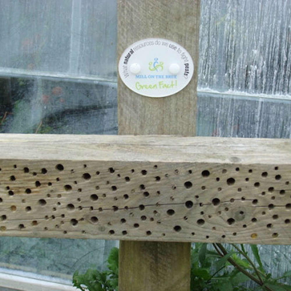 insect_hotel_2-408×408