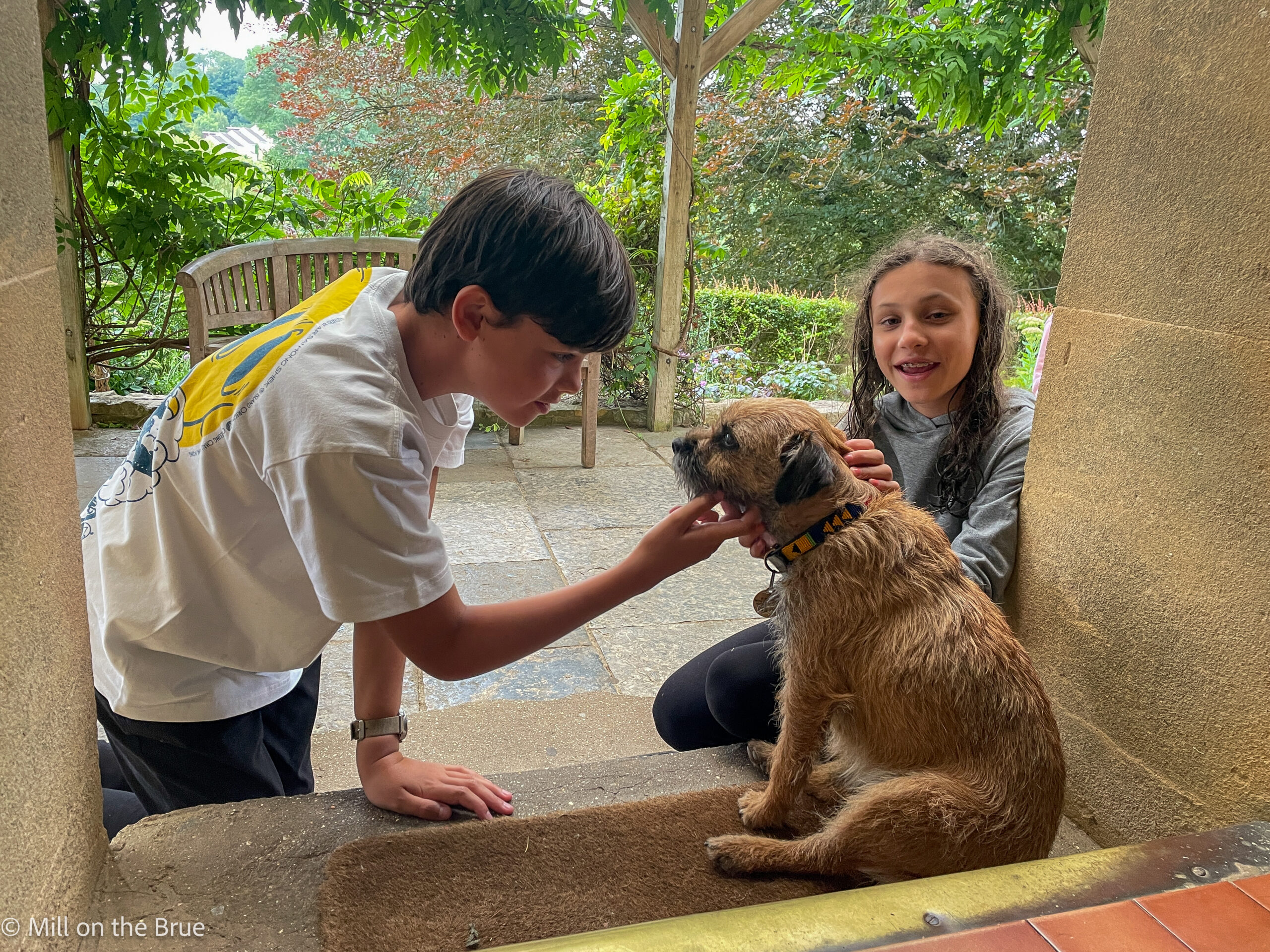 Down time with Pecan